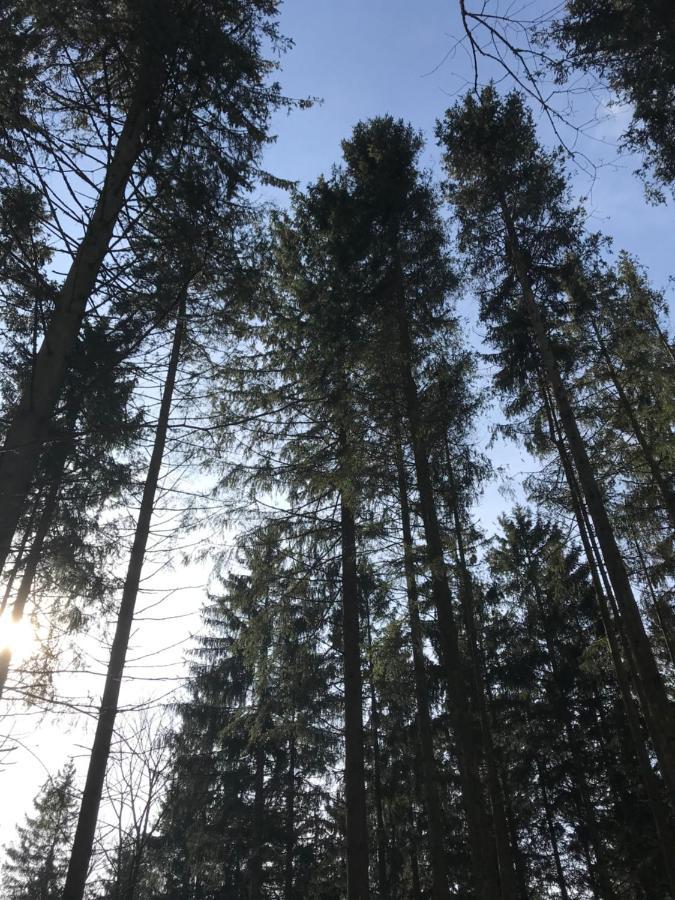Wohnung Mit Panoramablick Gerolstein Zewnętrze zdjęcie