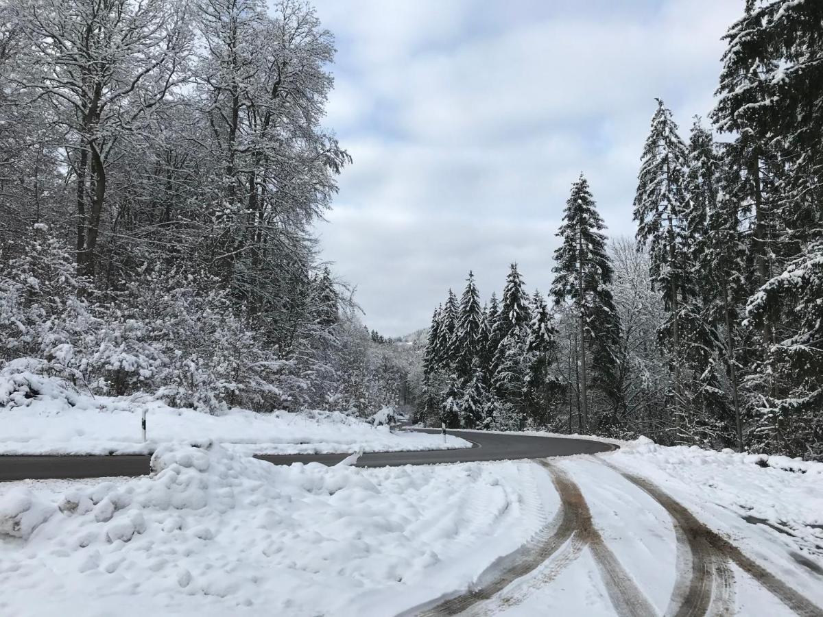 Wohnung Mit Panoramablick Gerolstein Zewnętrze zdjęcie